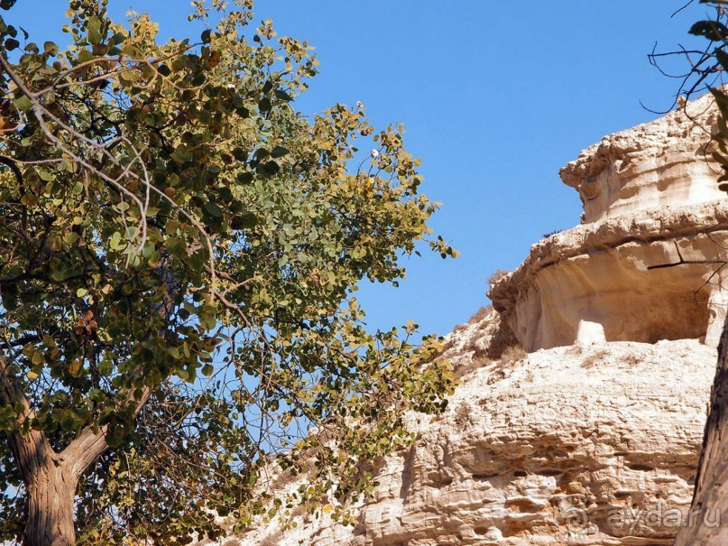 Волшебство пустыни. Эйн-Авдат
