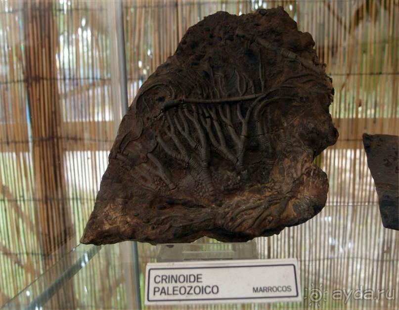 Подземными дорогами дождя