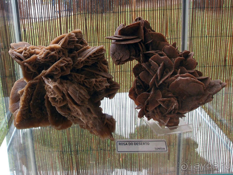 Подземными дорогами дождя