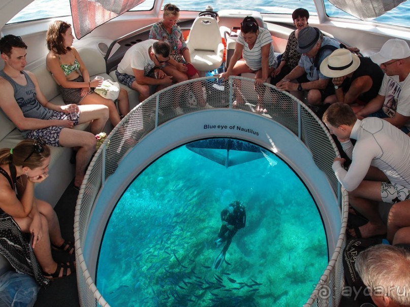 Хозяйка сказочных пейзажей