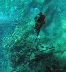 Хозяйка сказочных пейзажей