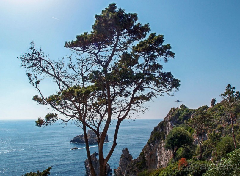 Хозяйка сказочных пейзажей