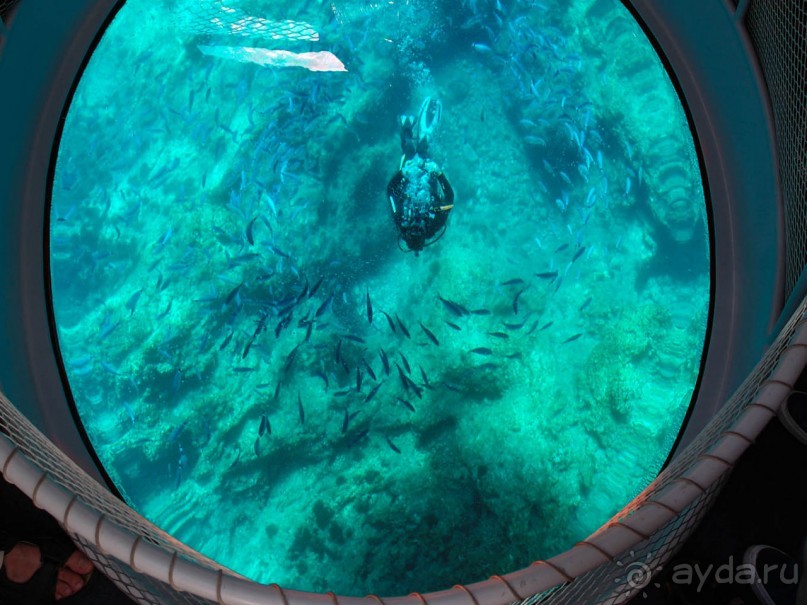 Хозяйка сказочных пейзажей