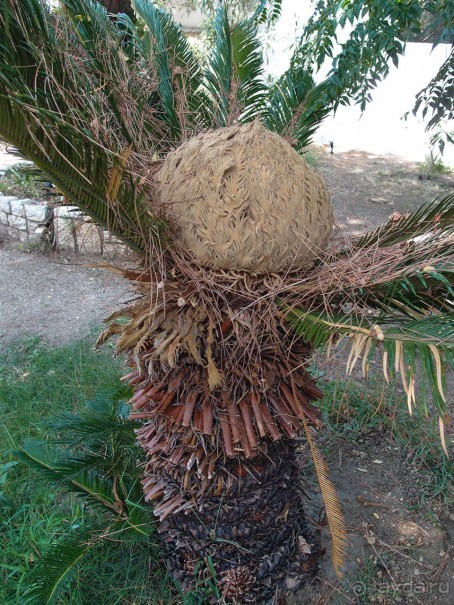 Хозяйка сказочных пейзажей