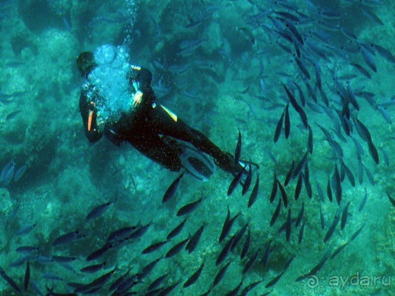 Хозяйка сказочных пейзажей