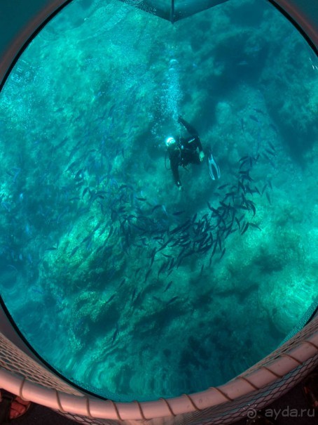 Хозяйка сказочных пейзажей