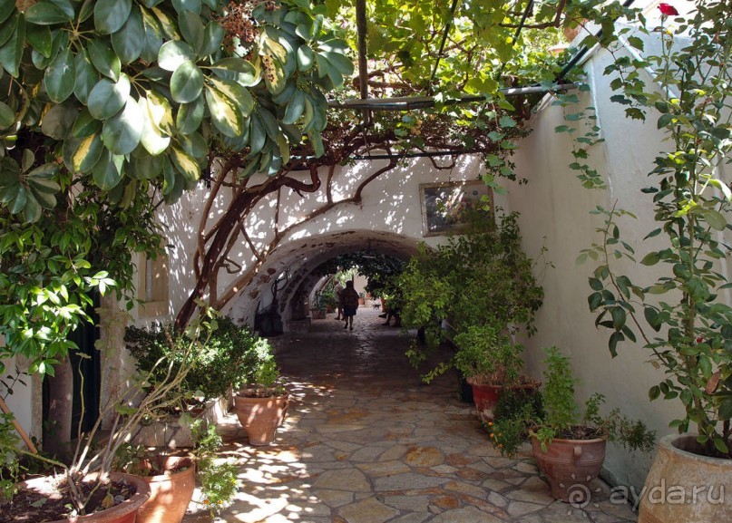 Хозяйка сказочных пейзажей