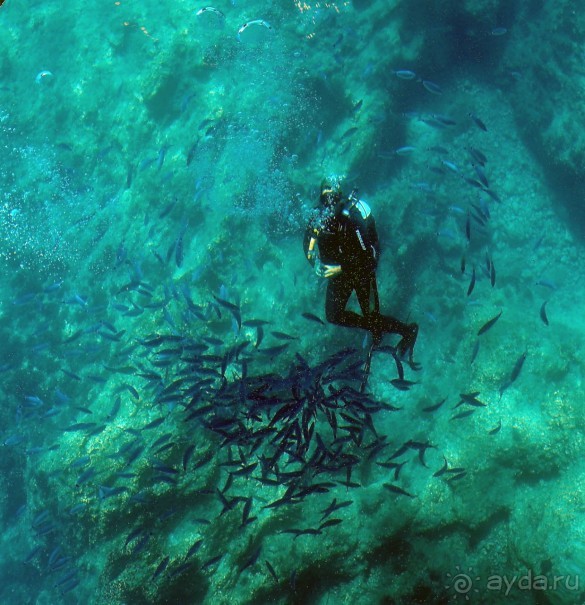 Хозяйка сказочных пейзажей