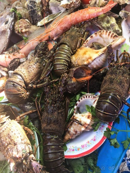 Океан и Эссуэйра