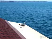 Греция. Релакс. Развлечения