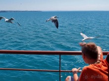 Греция. Релакс. Развлечения