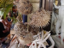 Греция. Релакс. Развлечения