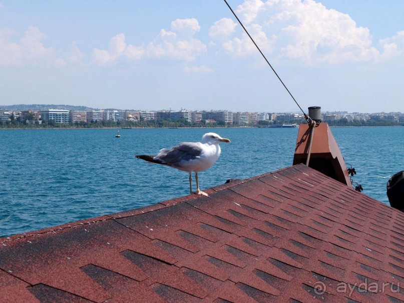 Греция. Релакс. Развлечения