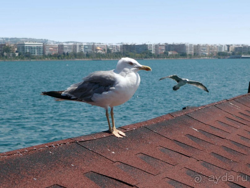 Греция. Релакс. Развлечения