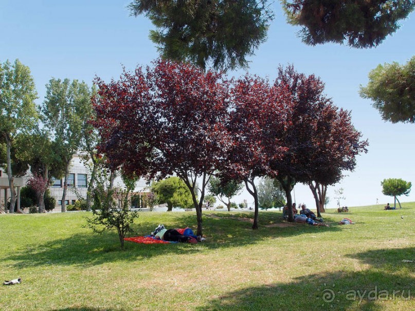 Греция. Релакс. Развлечения