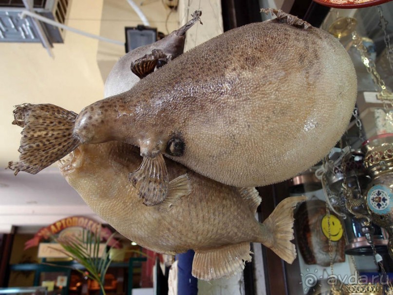 Греция. Релакс. Развлечения