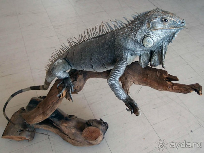 Греция. Релакс. Развлечения