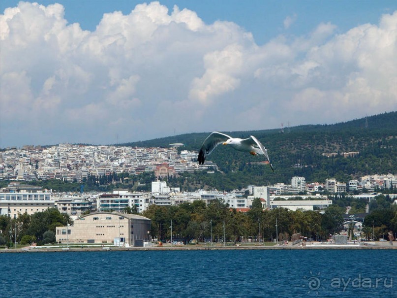 Греция. Релакс. Развлечения