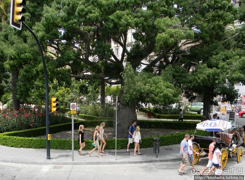 Экскурсионный автобус Малага-тур