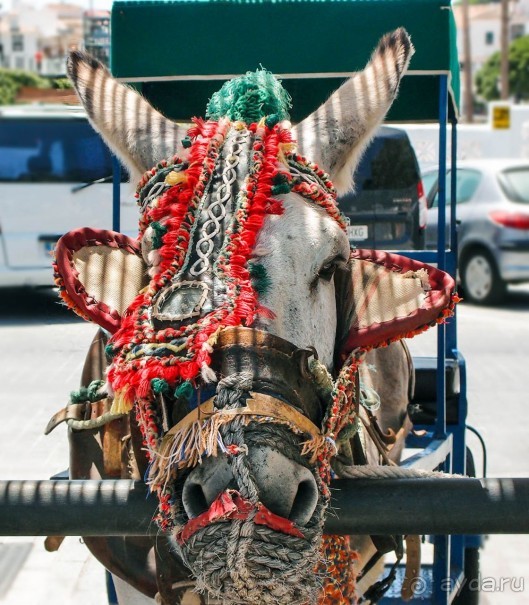 Михас-игрушка, город-сувенир