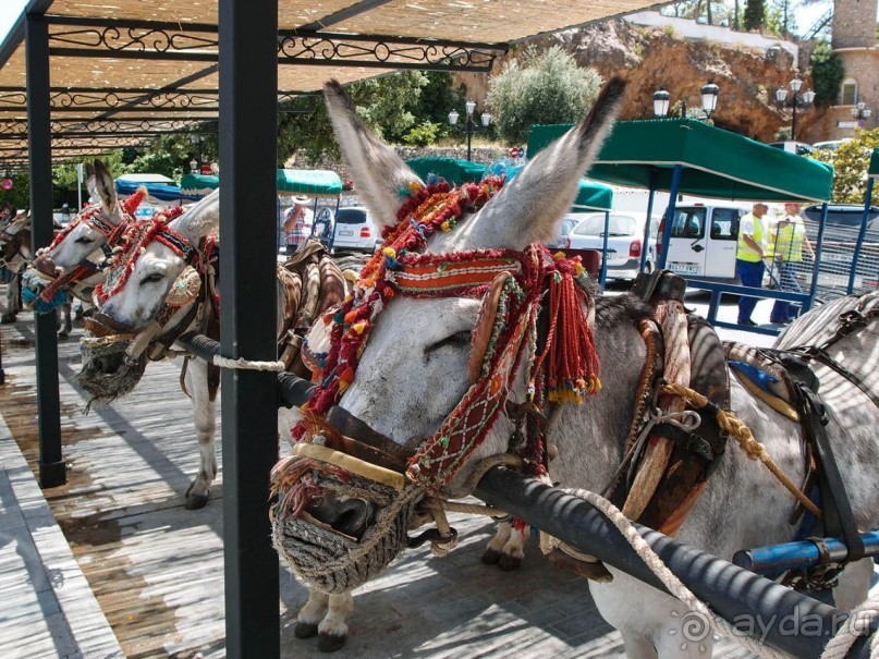 Михас-игрушка, город-сувенир