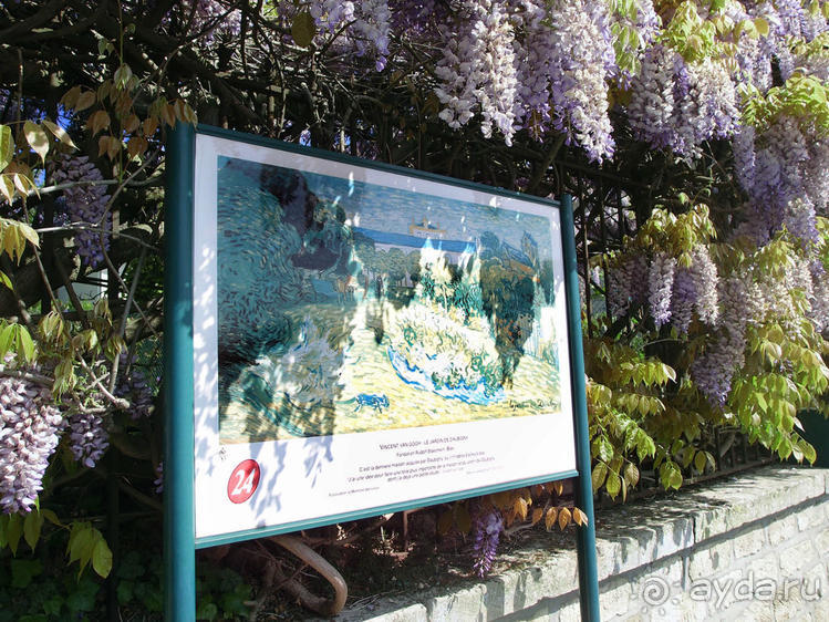 Мир глазами Винсента