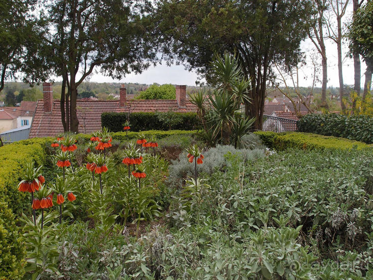 Мир глазами Винсента