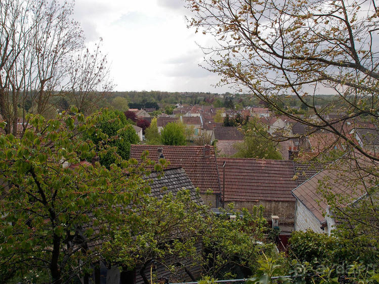 Мир глазами Винсента