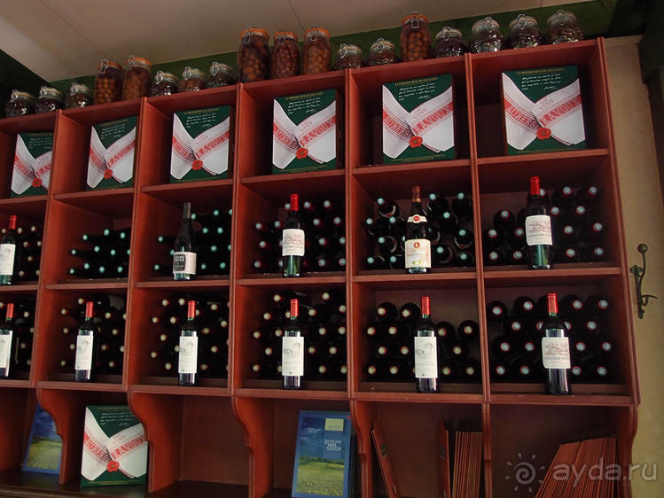 Мир глазами Винсента