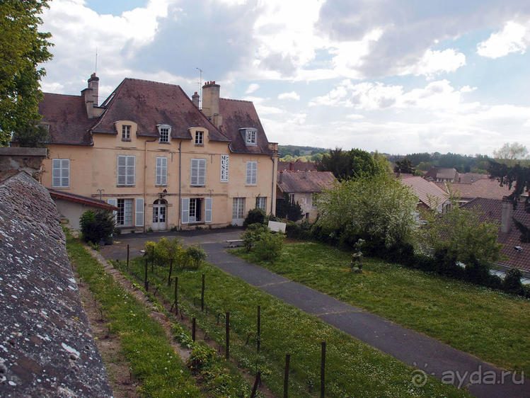 Мир глазами Винсента