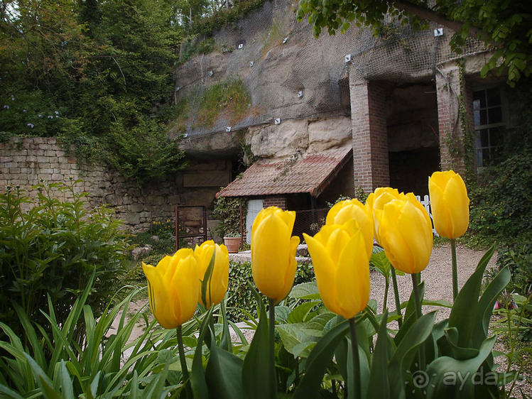 Мир глазами Винсента