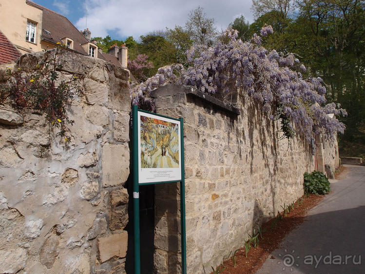 Мир глазами Винсента