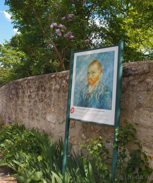 Мир глазами Винсента