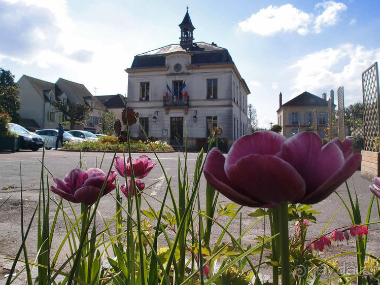 Мир глазами Винсента