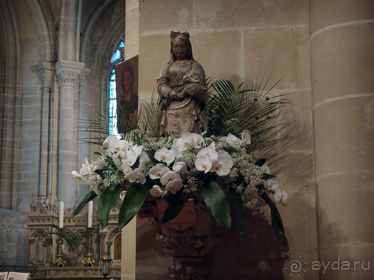 Мир глазами Винсента