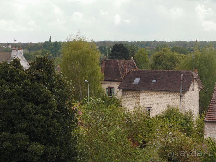 Мир глазами Винсента