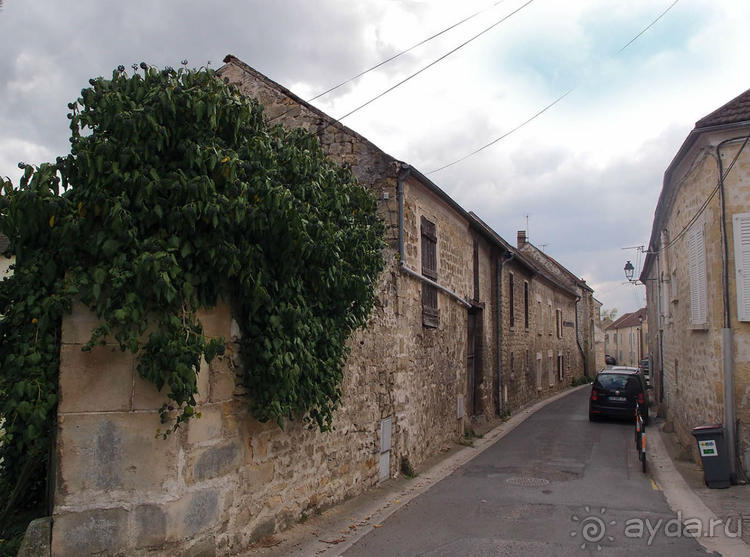 Мир глазами Винсента