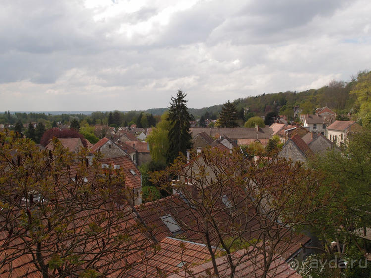 Мир глазами Винсента