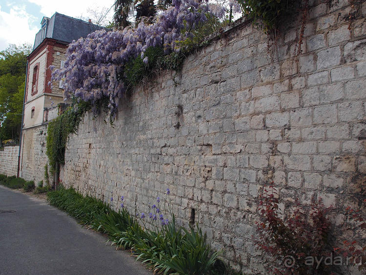 Мир глазами Винсента