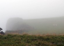 Альбом отзыва "Пять шагов по тропе Великана"