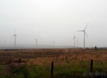 Пять шагов по тропе Великана