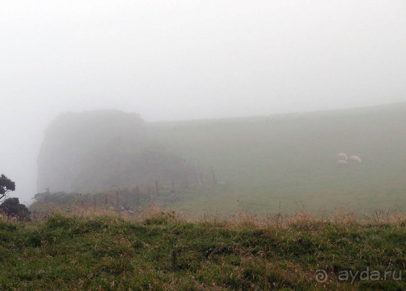 Пять шагов по тропе Великана