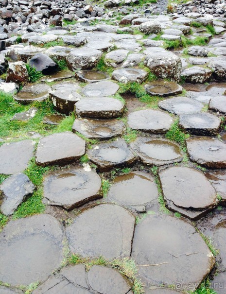Пять шагов по тропе Великана