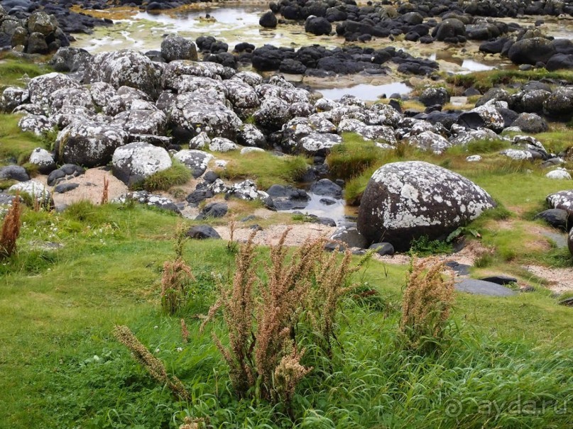 Пять шагов по тропе Великана
