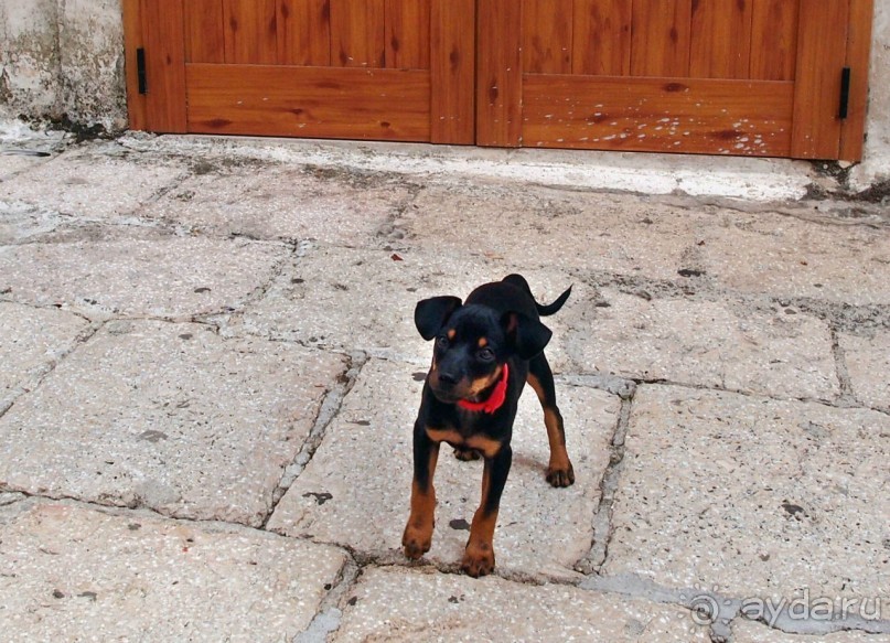 Сиеста в медленном городе