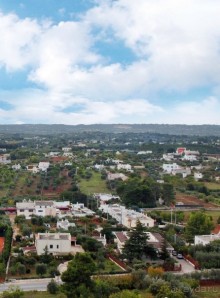 Сиеста в медленном городе