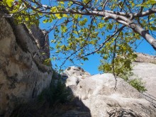 Пещерный город над Курой