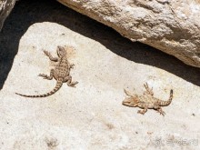 Пещерный город над Курой