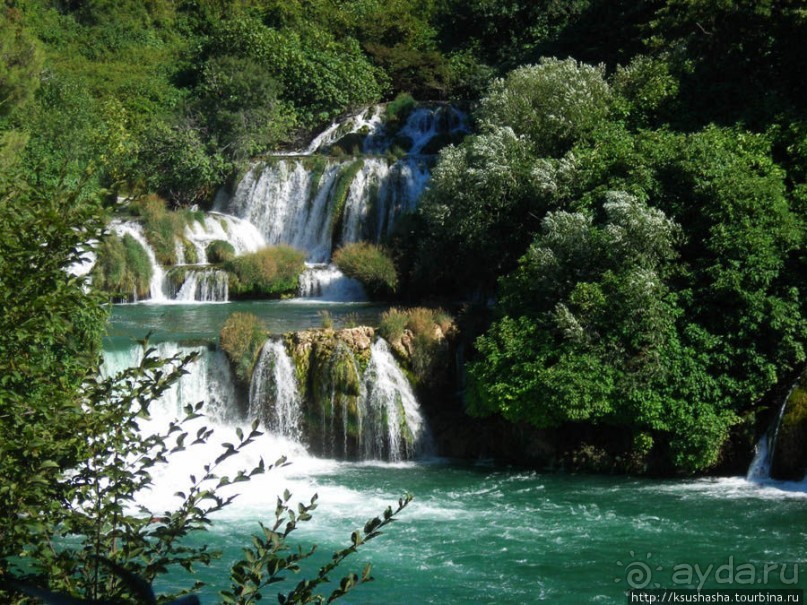 Окунуться в зелёную палитру КРКа