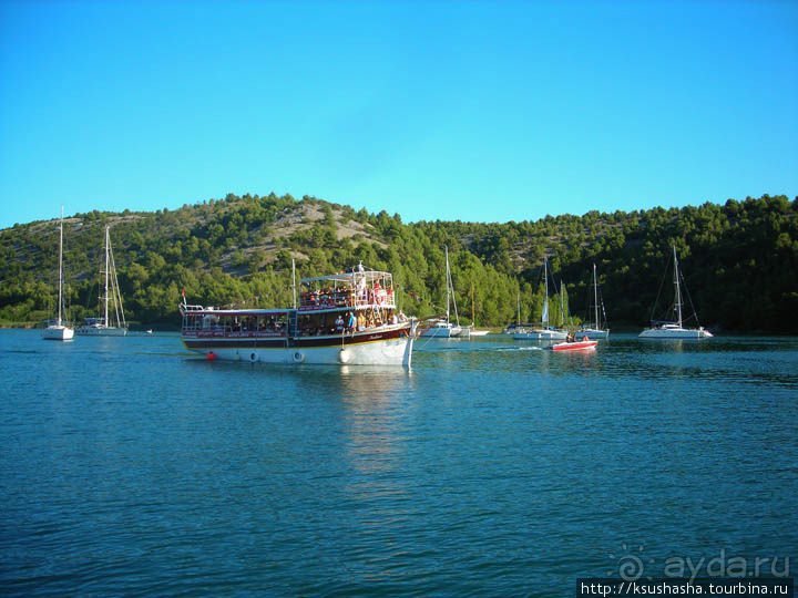 Окунуться в зелёную палитру КРКа